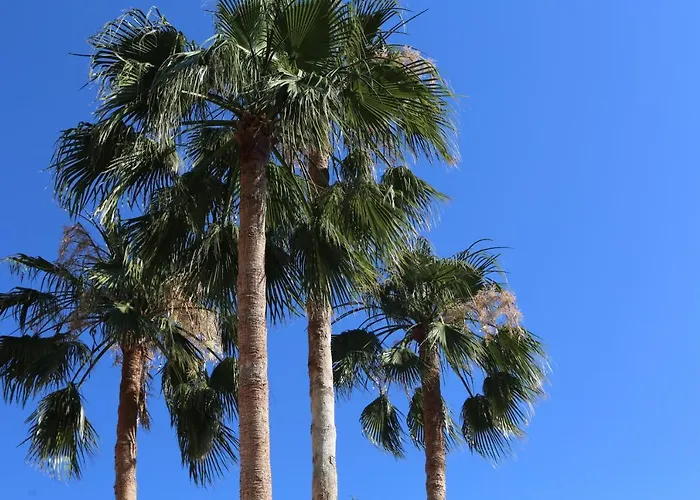 El Ranchito By Seric, 15' Walking To The * Torremolinos