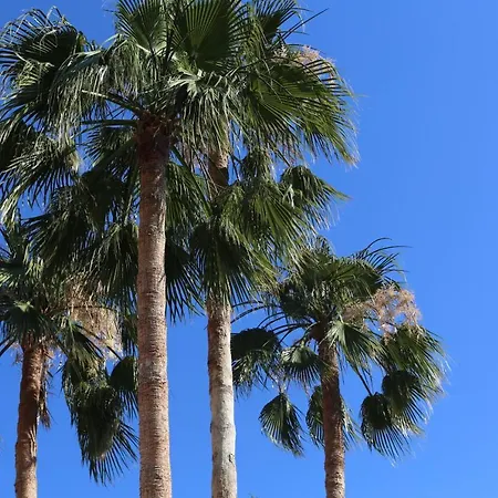 El Ranchito By Seric, 15' Walking To The * Torremolinos